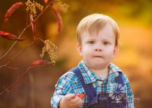 Professional photo of a little boy with beautiful fall colors.