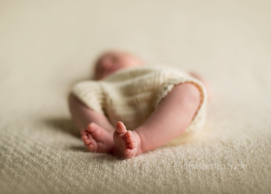 A professional photo of a newborn baby's tiny feet.