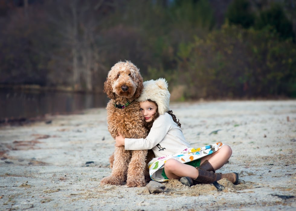 Small girl wearing a white hat sitting on a beach and hugging her poodle dog.