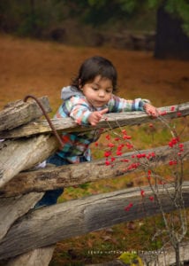 Baby boy reaching for red berries at Lake Powhatan.