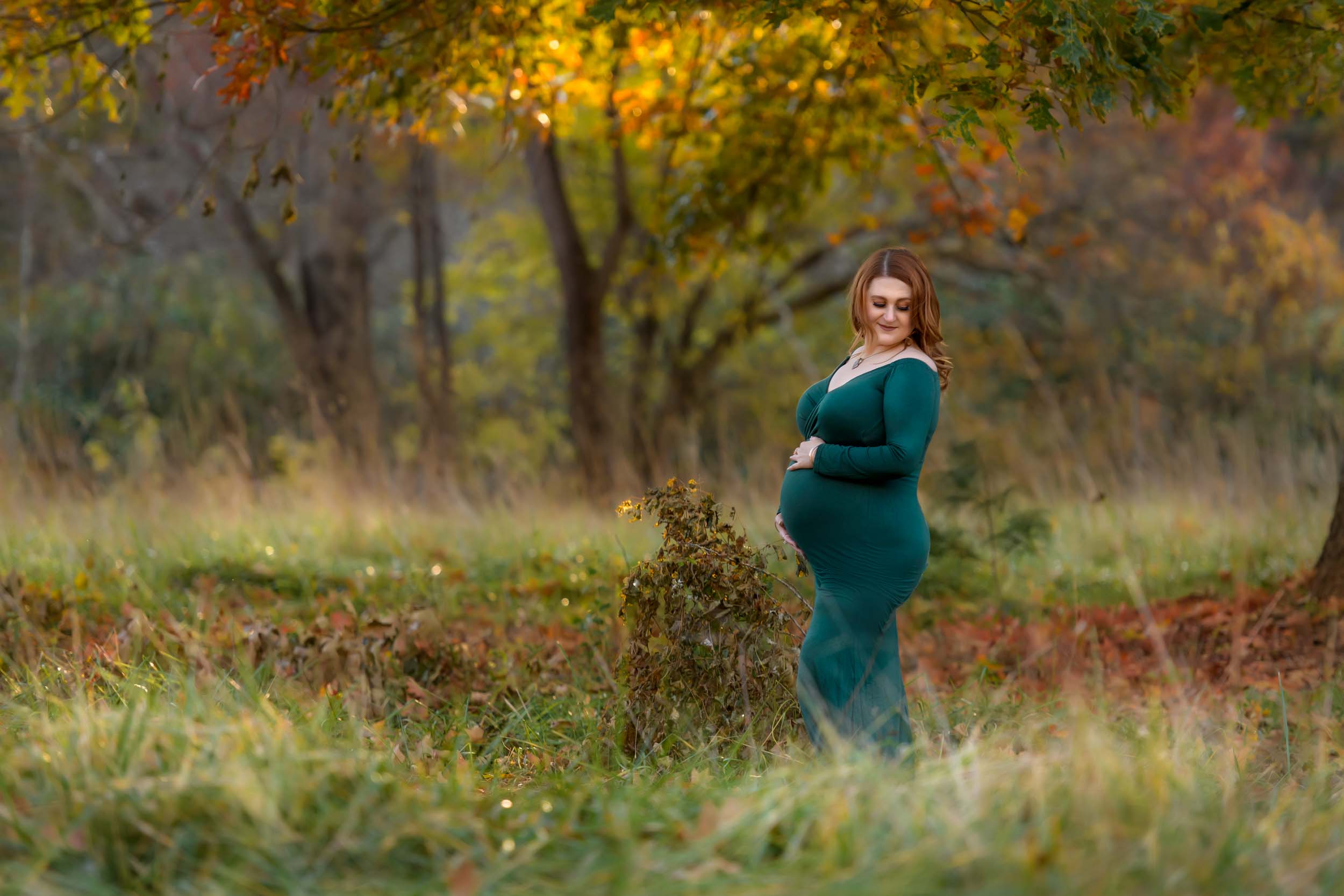 Beautiful fall maternity photo from the Biltmore estate.