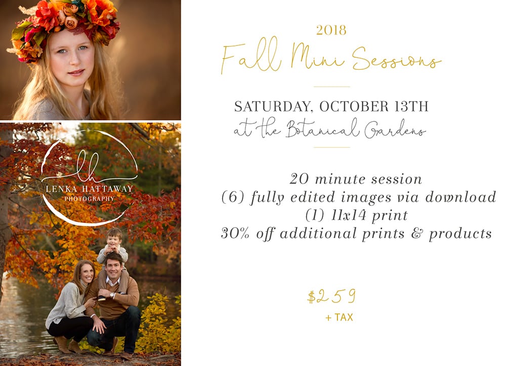 Fall mini session flyer.