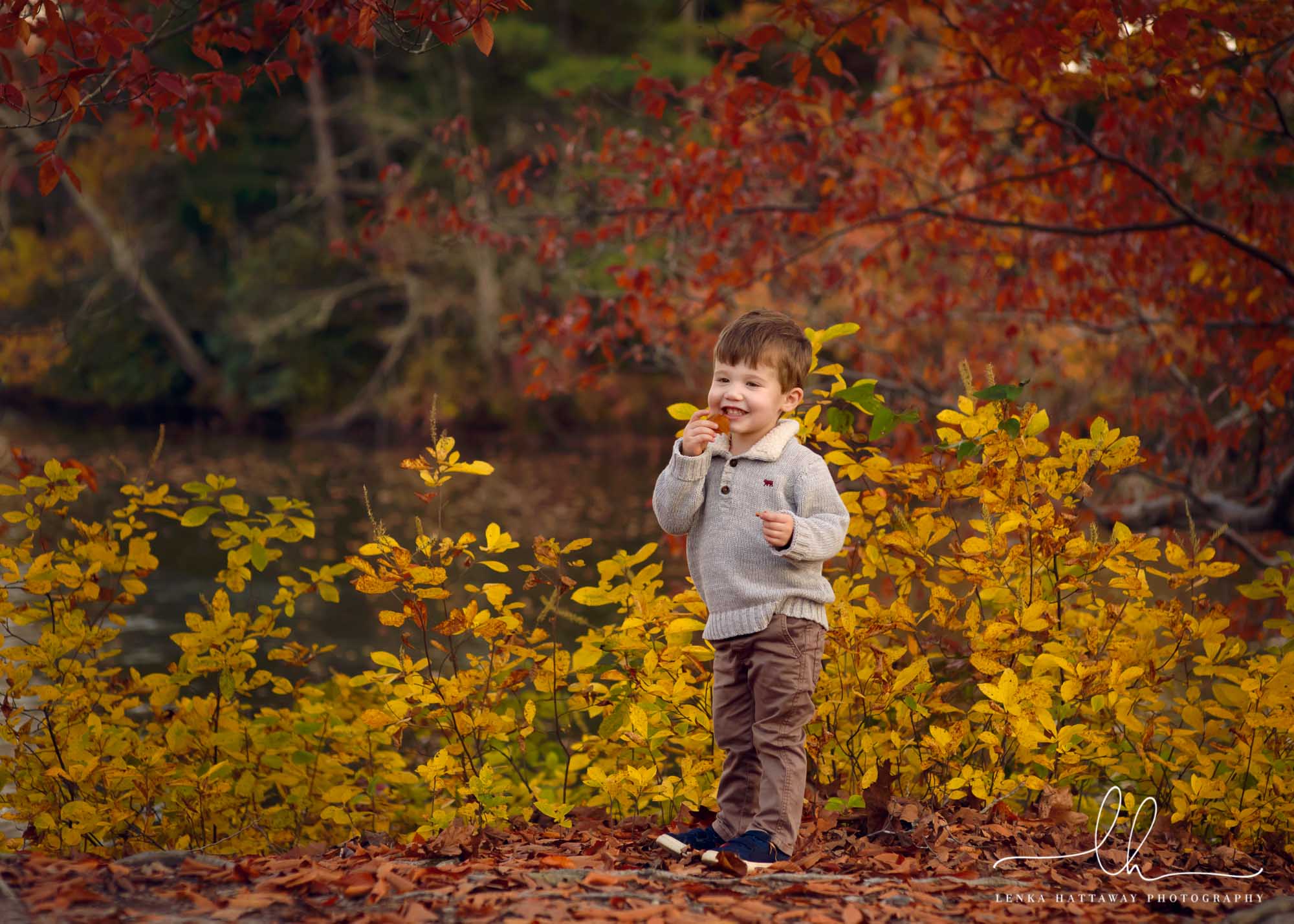 Portrait of a boy holding a leaf.