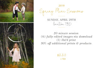 2019 Spring mini session flyer.
