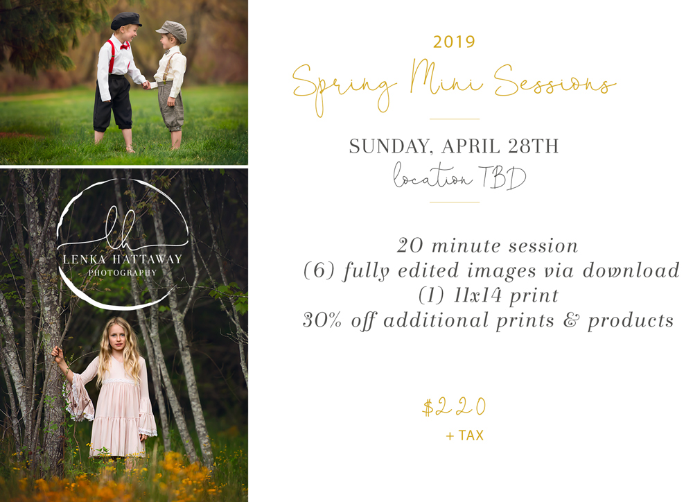 2019 Spring mini sessions flyer.