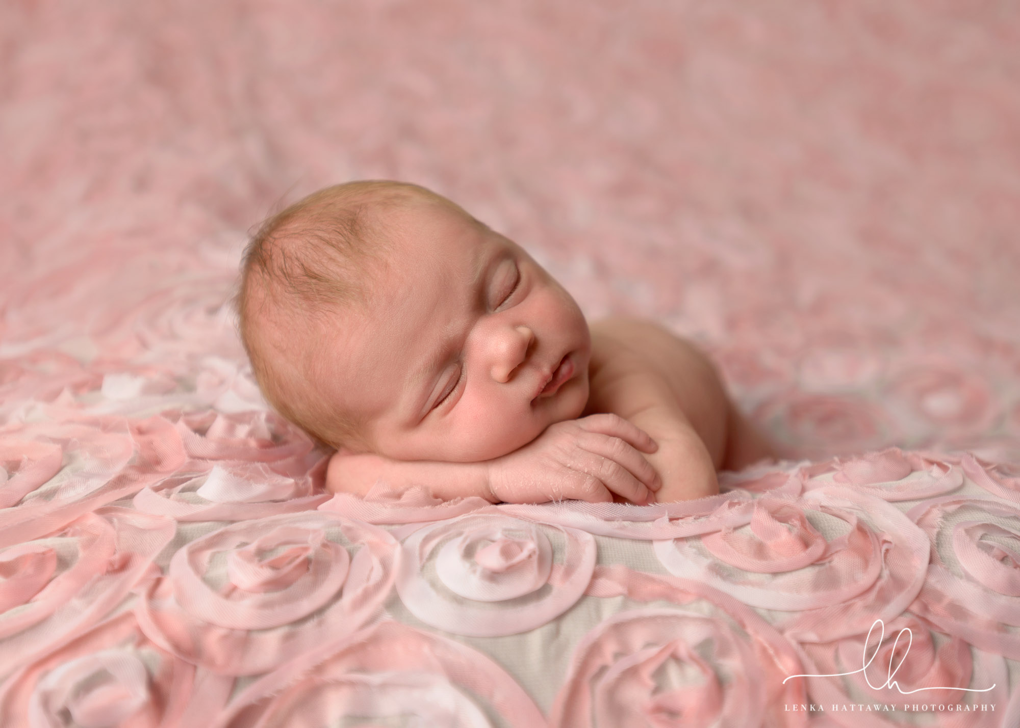 Newborn picture of a baby girl sleeping on pink flower backdrop.