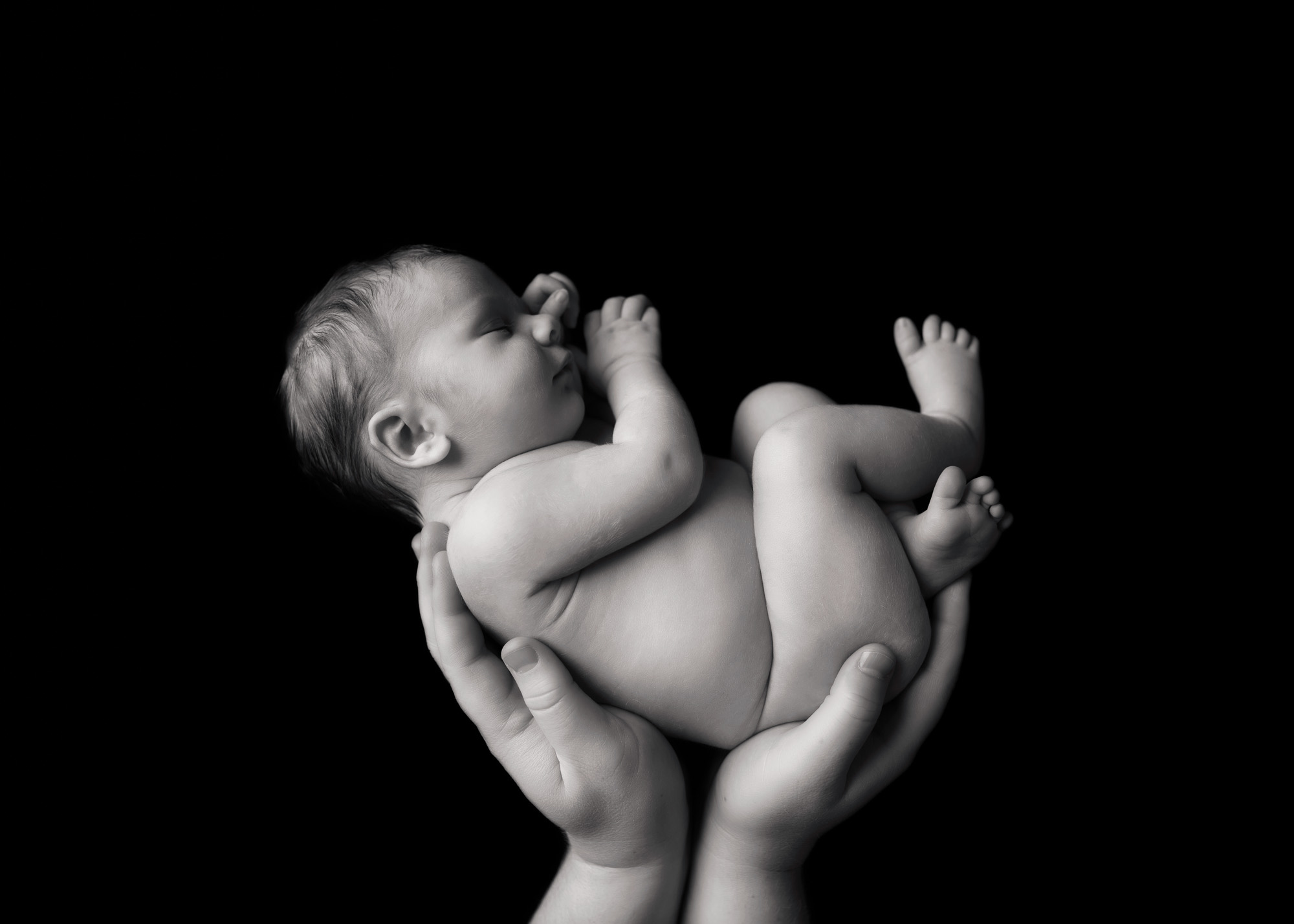 Black and white newborn photography in Asheville, NC.