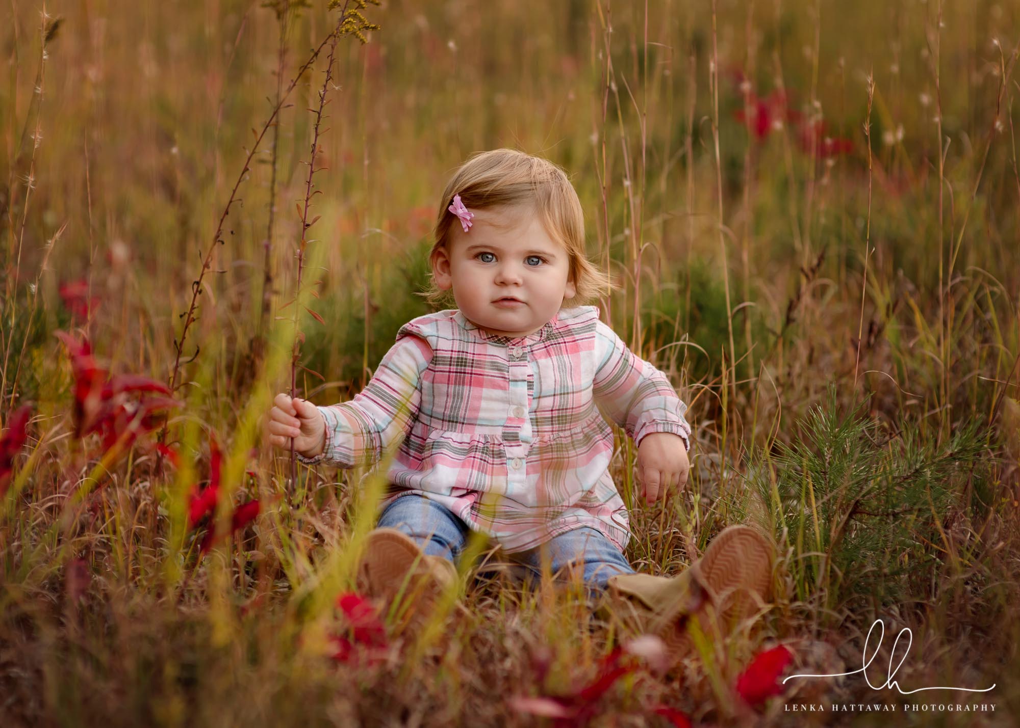 Baby milestone photo session in tall grass.