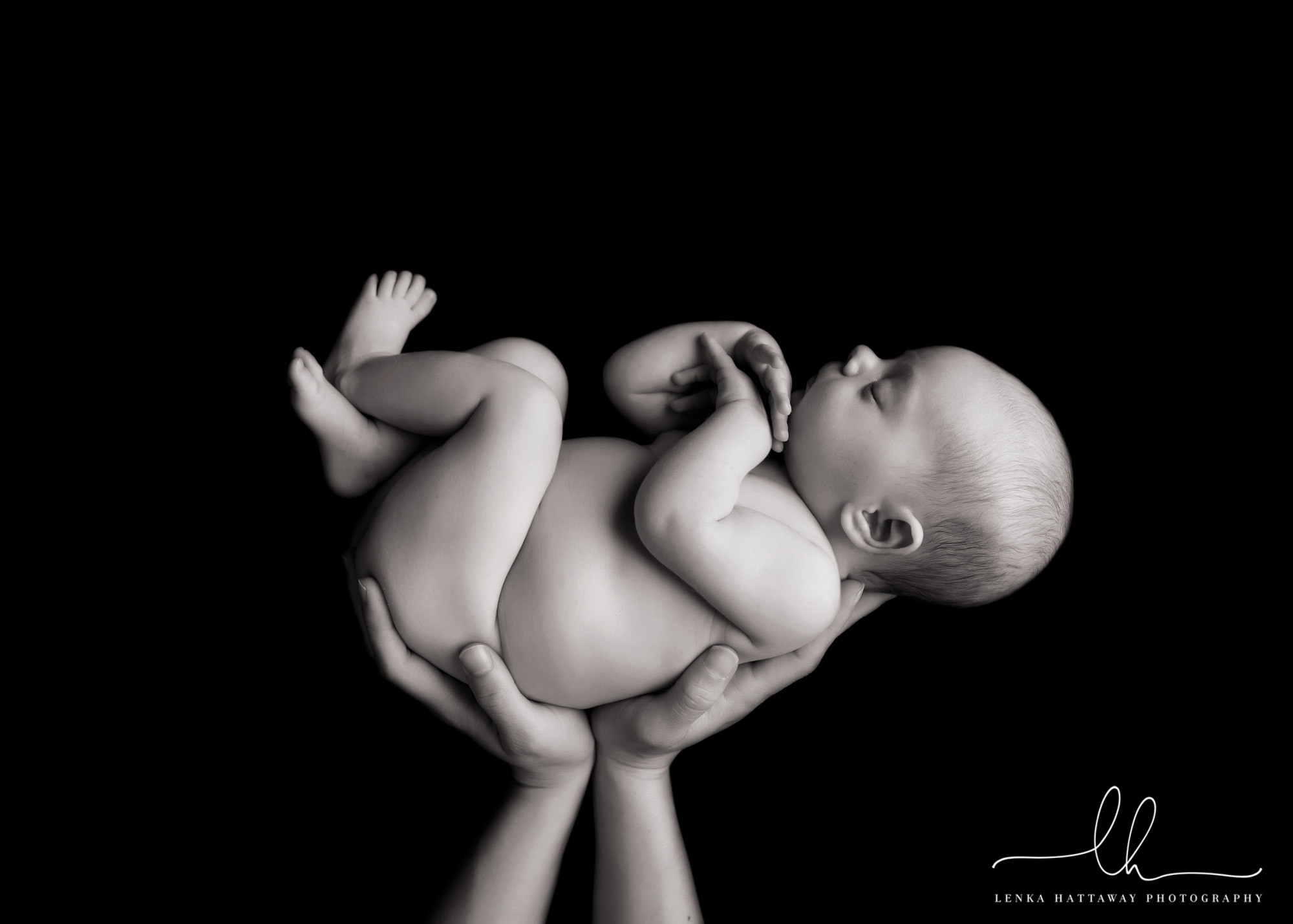 Asheville newborn photography. Black and white photo.