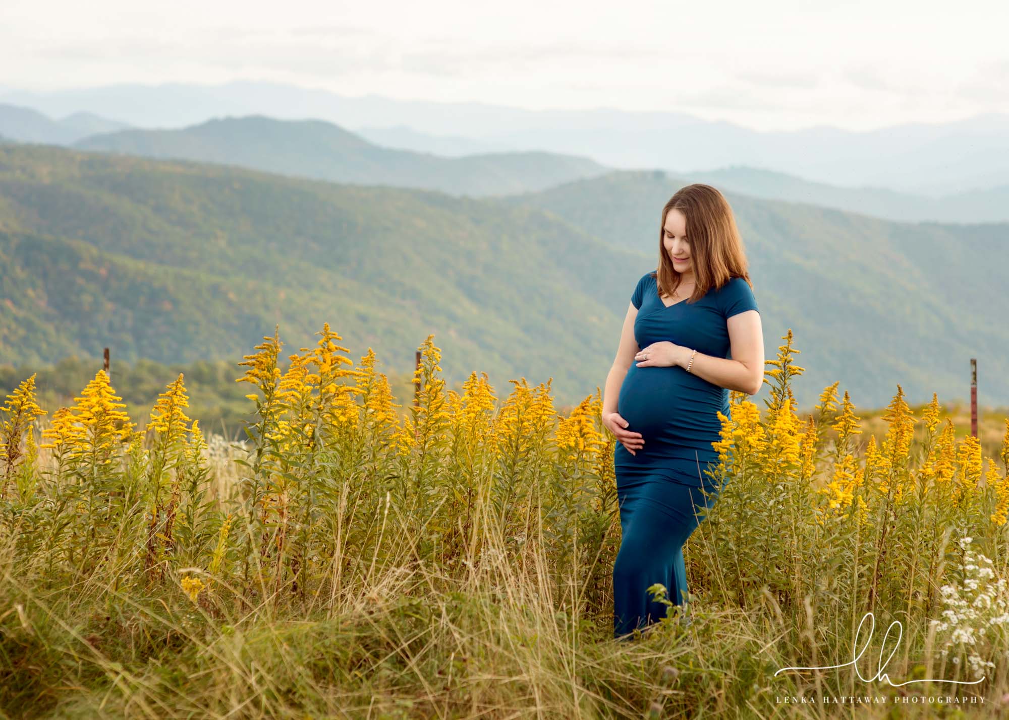 Expecting mama surrounded by golden rod with mountains in the background.